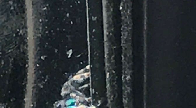 client_PART_1495133124716_IMG_0717 (2)